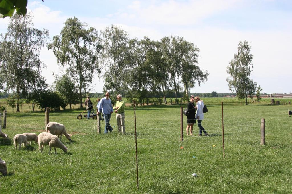 B&B Artiriacumhoeve Zedelgem Exteriör bild